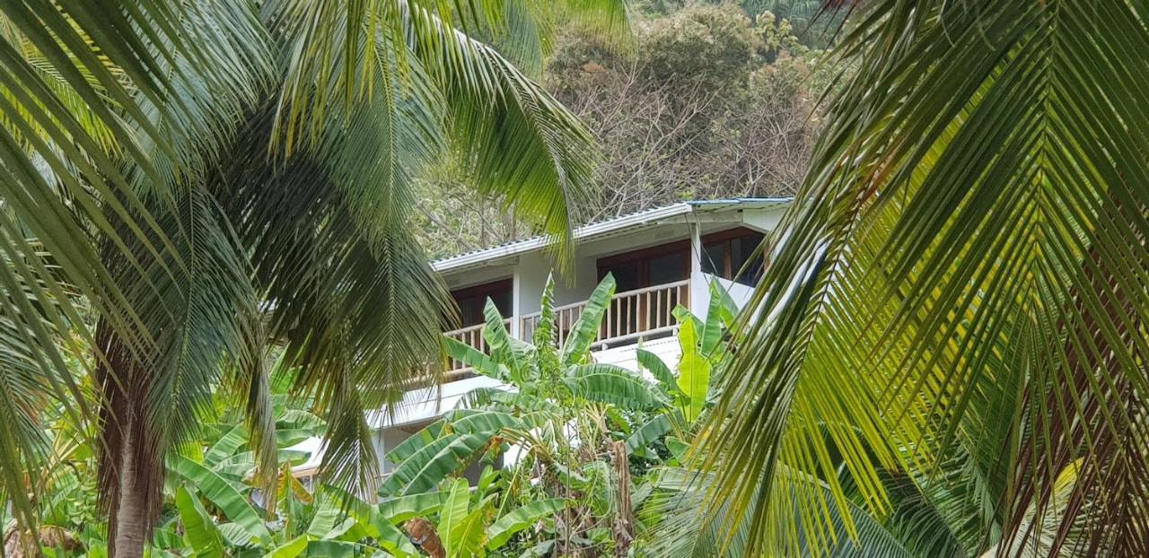 Hotel Vista Caribe Portobelo Exteriér fotografie